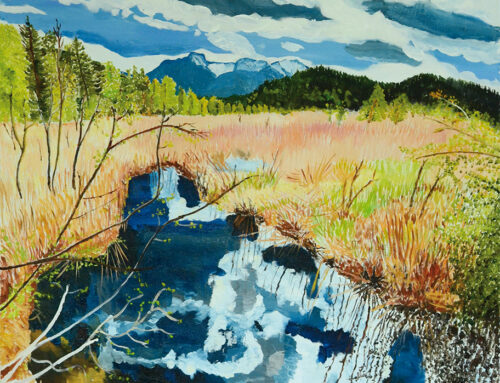 Teich mit Wolkenspiegelung