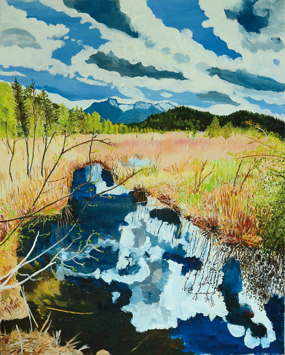 Teich mit Wolkenspiegelung