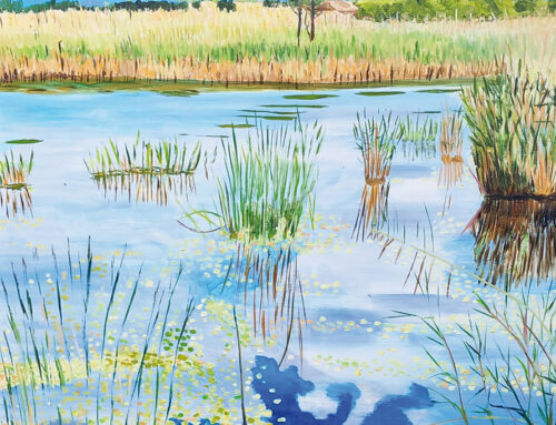 Schilfgruppen im Weiher