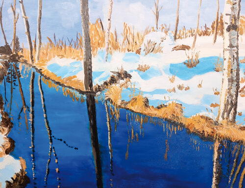 Fluss mit Baumspiegelung, Winter