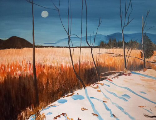 Abendszene Moos im Winter