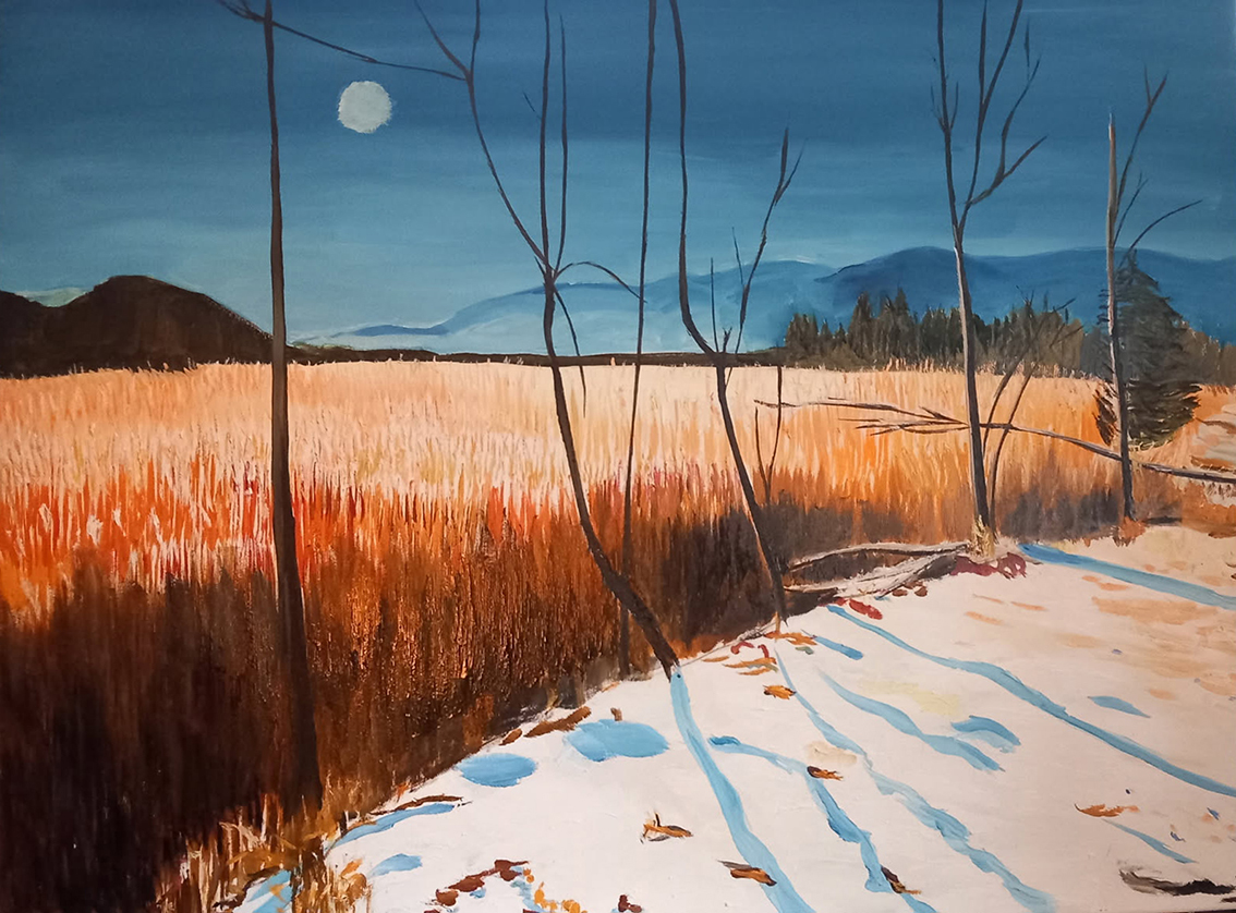 Abendszene Moos im Winter