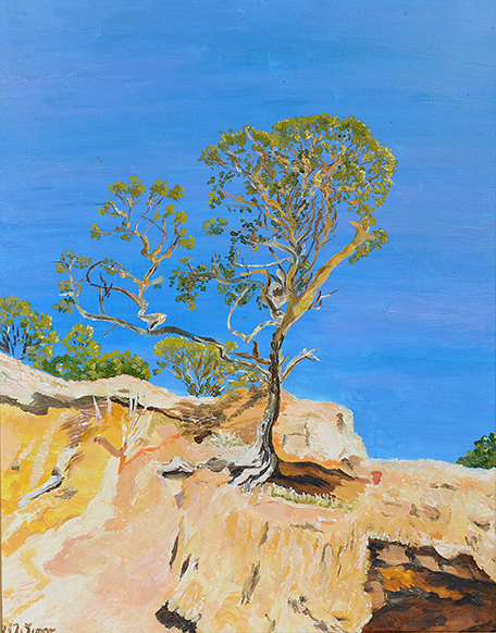 Baum Korische Küste