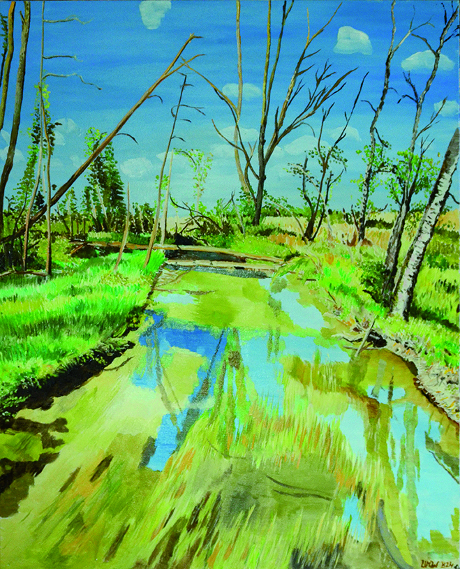 Fluss im Moos