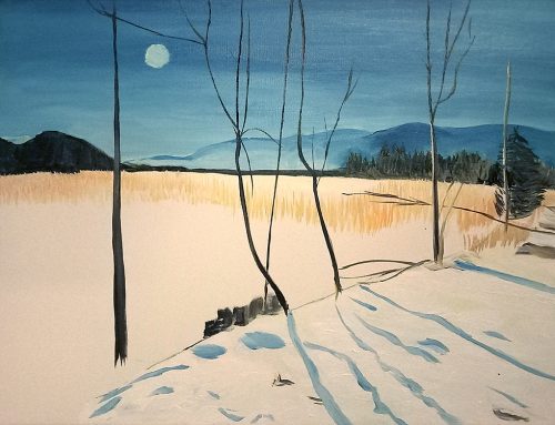 Moos, Feld im Winter