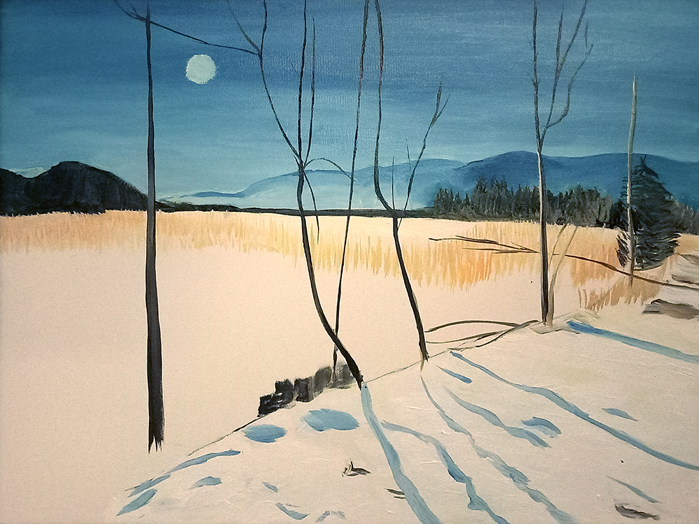 Moos, Feld im Winter