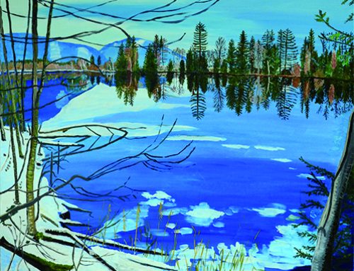 Moosbergsee Winter