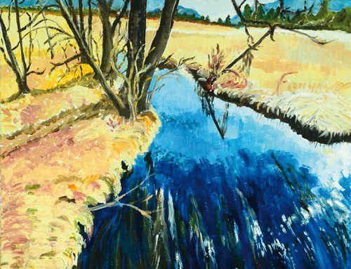 Mooslandschaft