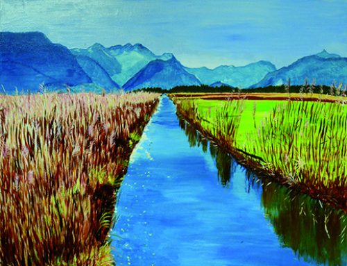 Mooslandschaft mit Wasserlauf  2