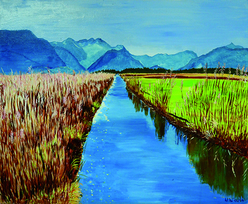 Mooslandschaft mit Wasserlauf 2
