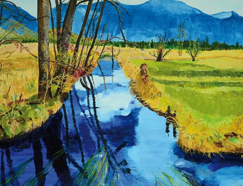 Mooslandschaft mit Wasserlauf