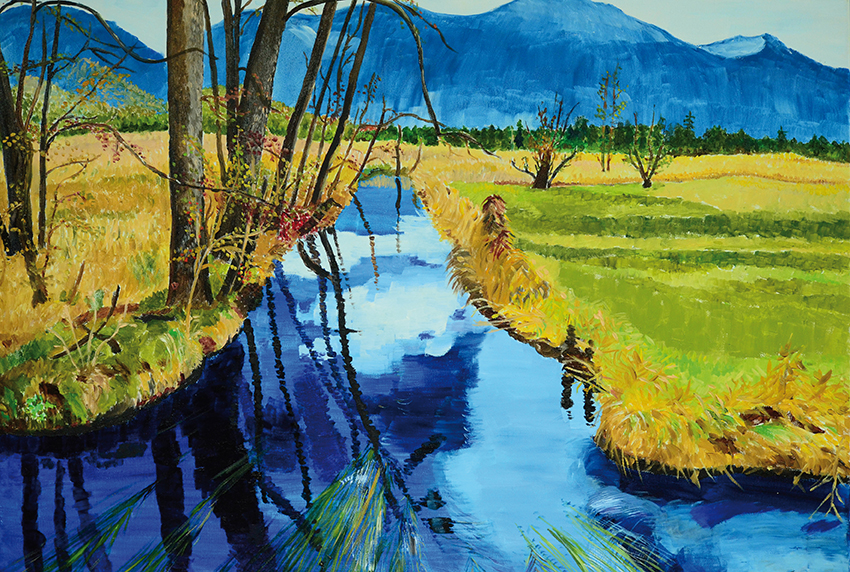 Mooslandschaft mit Wasserlauf