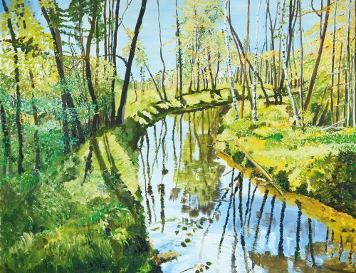 Wasserlauf Murnauer Moos